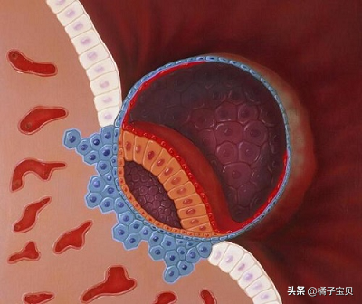 <strong>你的子宫内膜适合移植吗？</strong>