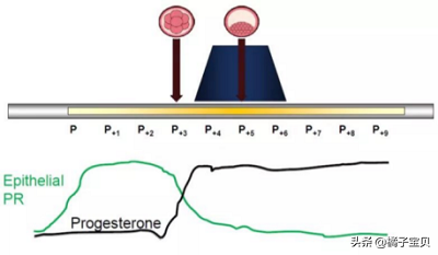 北京试管助孕:你的子宫内膜适合移植吗?