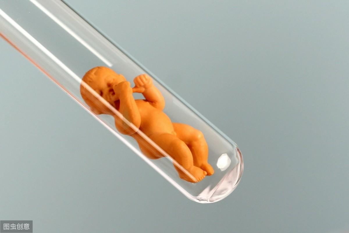 包成功-试管婴儿促排卵,到底需要多少个卵子才合适呢?