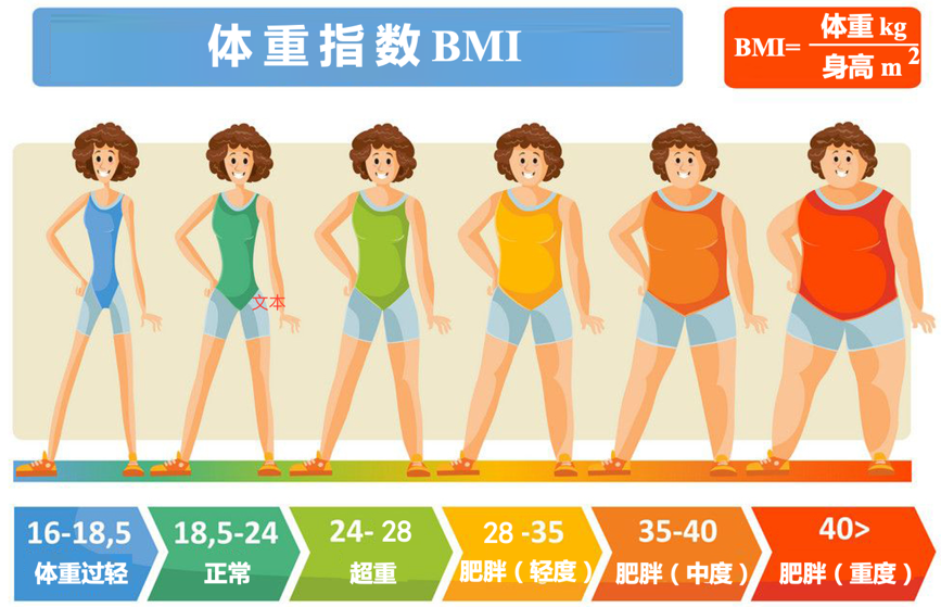 代生服务平台:“医生，做试管婴儿为什么要减肥？能提高成功率吗？”