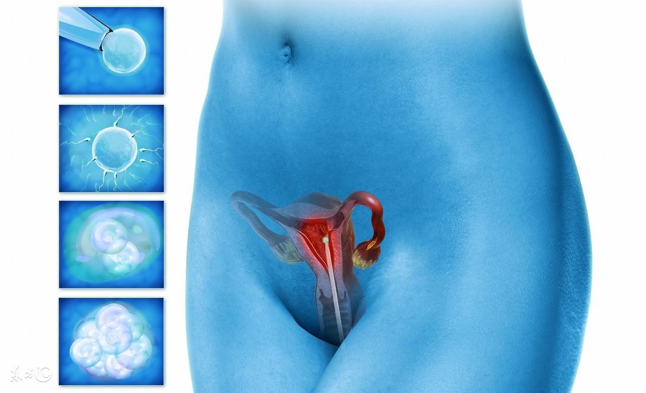 试管婴儿囊胚移植没着床的原因是什么？