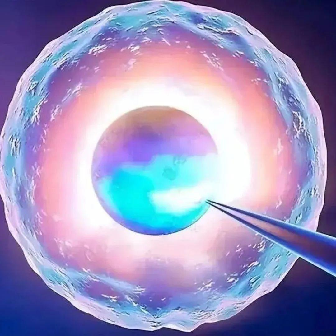 代生费-什么是促黄体激素LH，为什么做试管婴儿要查LH？