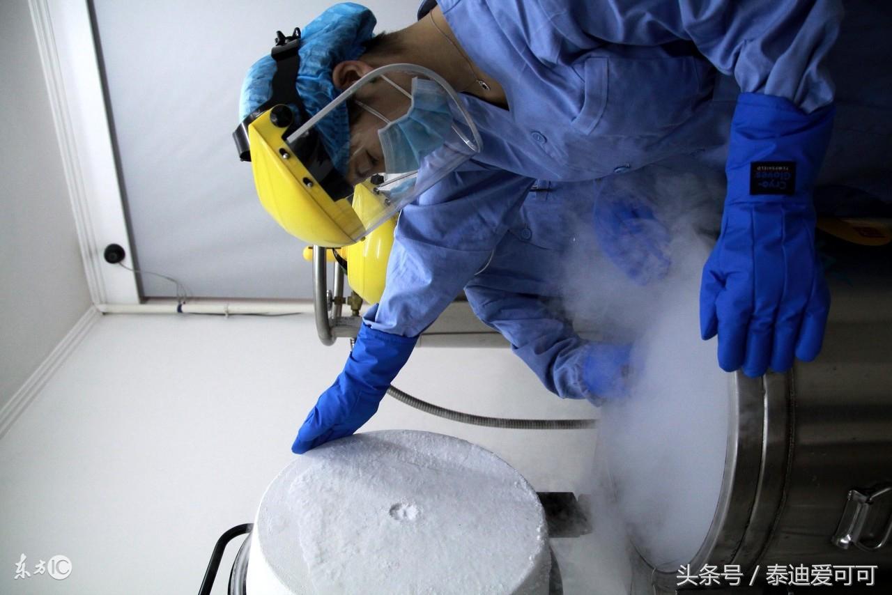 试管婴儿多久移植着床？多囊做试管婴儿成功率是多少？