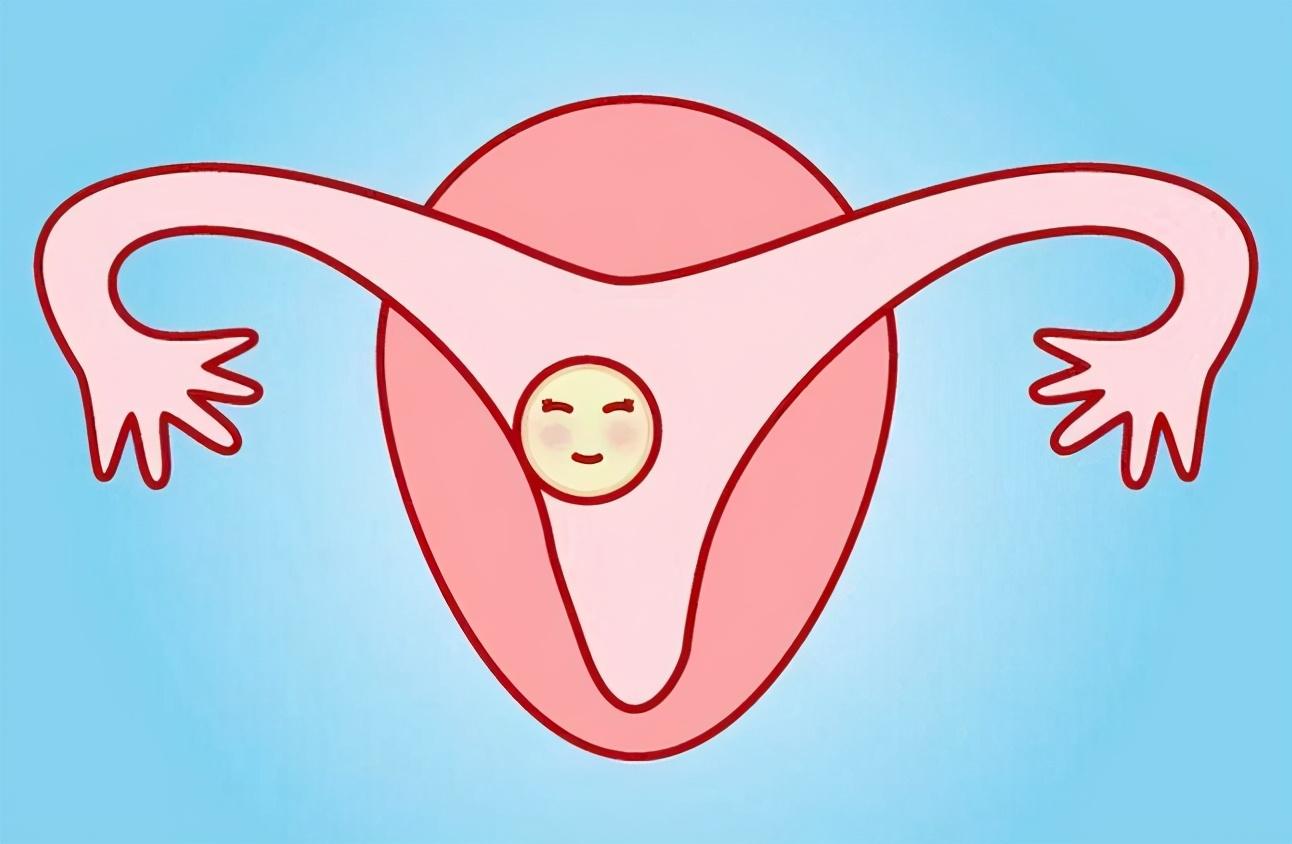 供卵代生-子宫内膜的三种形态：“A、B、C”分型，C型能移植吗？