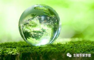 试管婴儿卵泡少有影响吗?