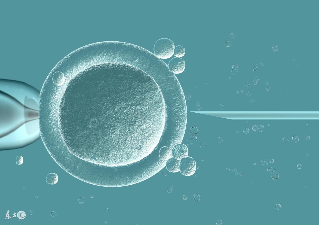 试管婴儿有什么不好?和正常孩子一样吗?