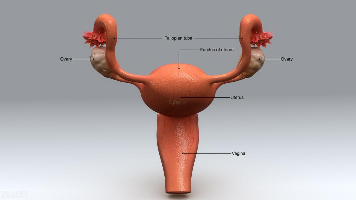 代生服务：输卵管阻塞性不孕，中医针灸有妙法