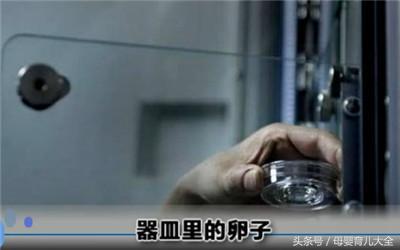 试管婴儿服务-揭秘“试管婴儿”诞生全过程!