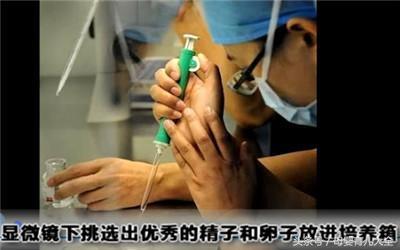 试管婴儿服务-揭秘“试管婴儿”诞生全过程!