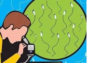 显微取精术—无精症患者最后的希望,代孕妈妈靠谱吗