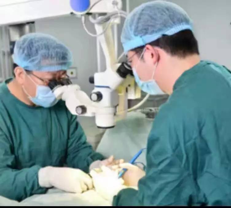 显微取精术—无精症患者最后的希望,代孕妈妈靠谱吗