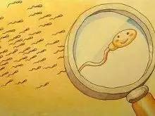 显微取精术—无精症患者最后的希望,代孕妈妈靠谱吗