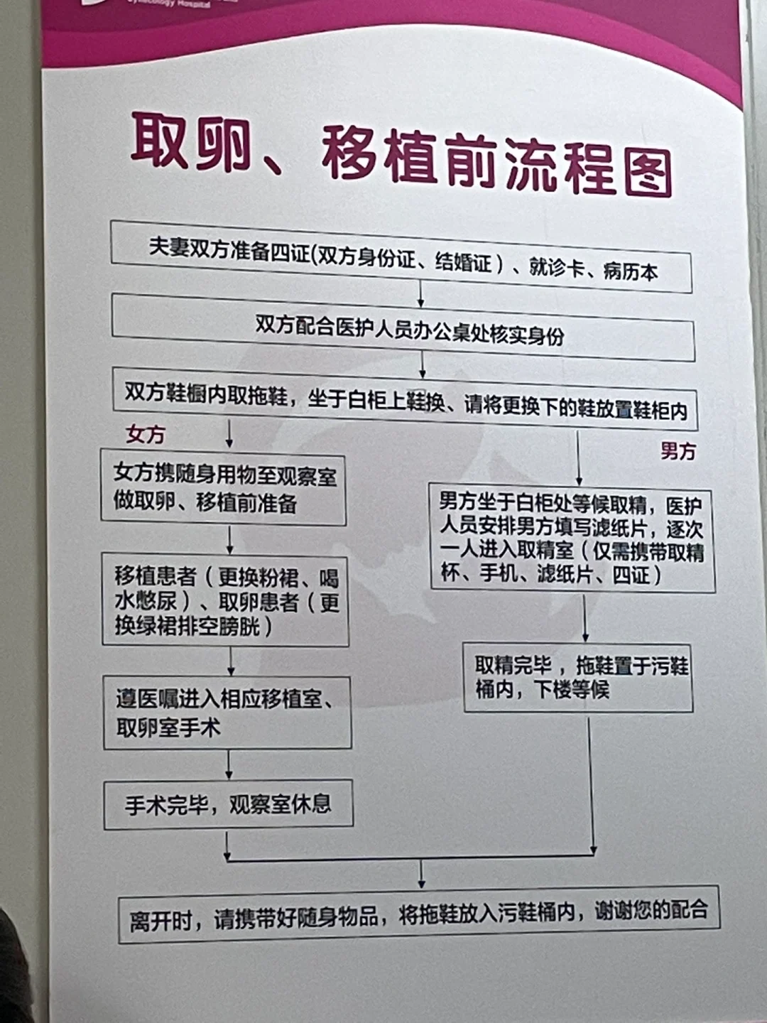 试管之路～取卵日