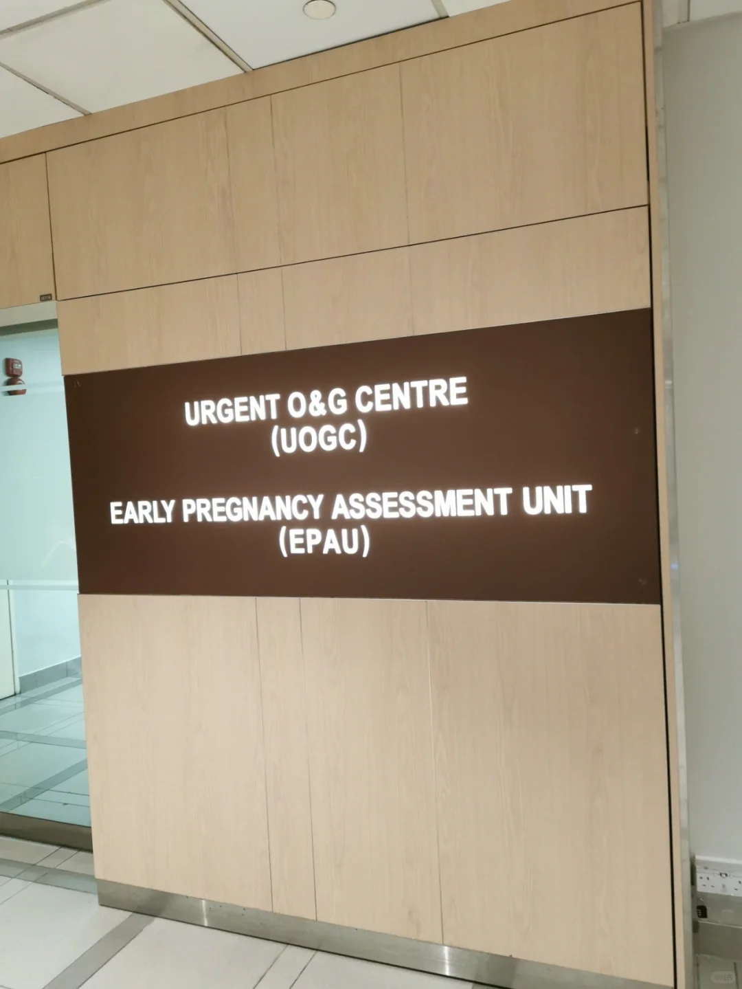 <b>移植第7天(不含移植日)之胃疼去急诊</b>