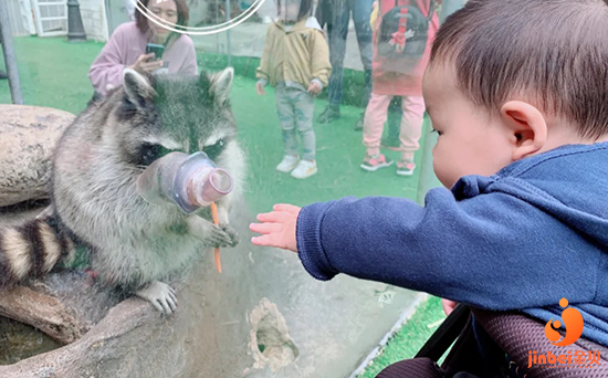 代生包生男孩：做试管婴儿的亲身经历