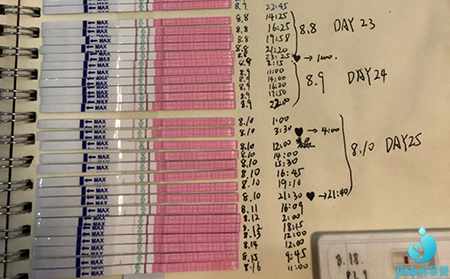 供卵代怀流程-泰国试管要花多少钱才合适