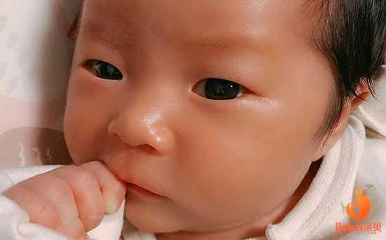 赵　县辅助生殖助孕是什么意思_美国试管婴儿资讯：如何进行卵泡监测？