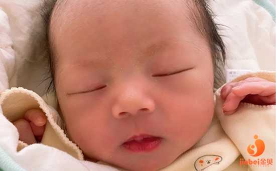 泉州星星医院能借卵吗_广州私立试管婴儿最好医院 2021上海排名第一的不孕不育
