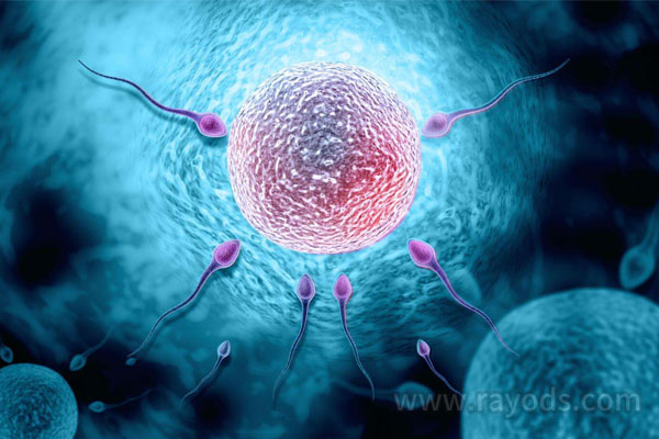 失独代怀代生,香港养和医院做试管婴儿过程是什么?