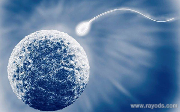 10万能在香港做第三代试管婴儿吗?费用解析与影响因素