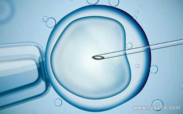 渑池县44岁供卵生孩子_冷冻卵子和冷冻胚胎对比，哪个试管成功率会更高一些？