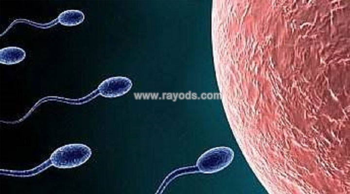 精子库的申请条件是什么？