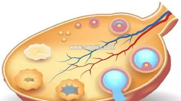 克罗米芬和来曲唑在促排上的效果有什么区别吗？~供卵包生