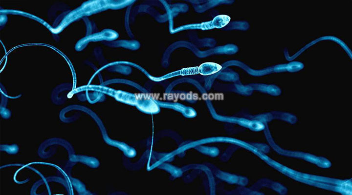 二代试管针对精子畸形是怎么挑选优质精子的?