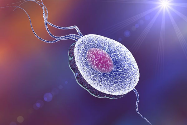 哈尔滨试管婴儿做一次多少钱~代生价格