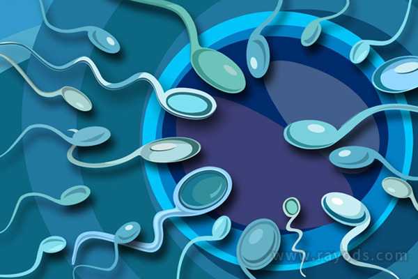 精子引起胎停育的原因？4个问题会导致妻子胎停育
