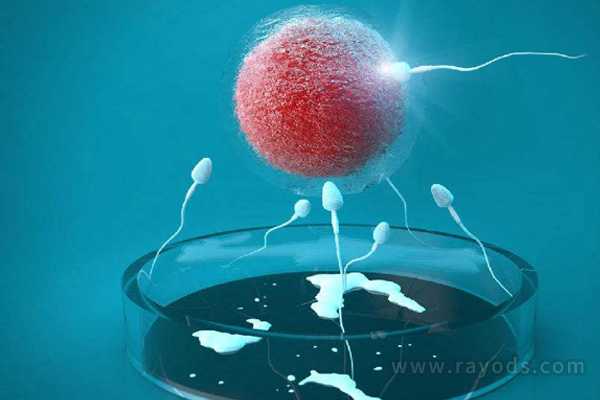 精子引起胎停育的原因？4个问题会导致妻子胎停育