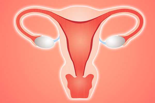 天河区助孕公司_女性子宫畸形可以做试管婴儿吗？子宫畸形有哪几种？