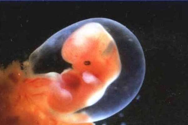 吉林坤和助孕中心官网_吉林恩泰生殖助孕中心怎么样_试管移植后多久可以验孕