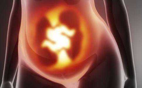 博尔塔拉代怀孕诺贝尔_博尔塔拉代怀孕哪家最靠谱_泰国试管婴儿多少天可以做