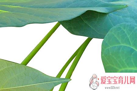 备孕期间如何科学运动